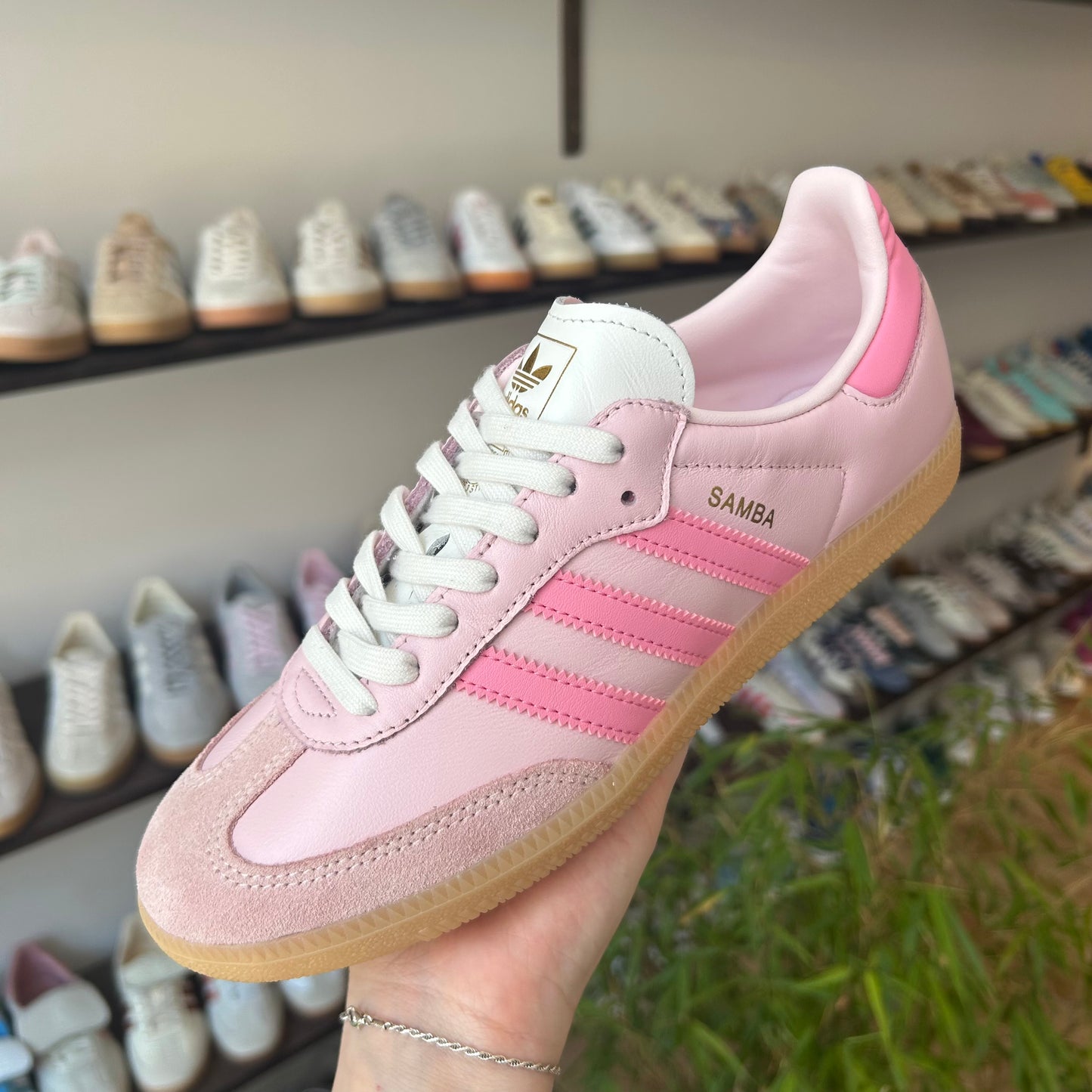 adidas Samba OG Neapolitan Pack Clear Pink (Women's)