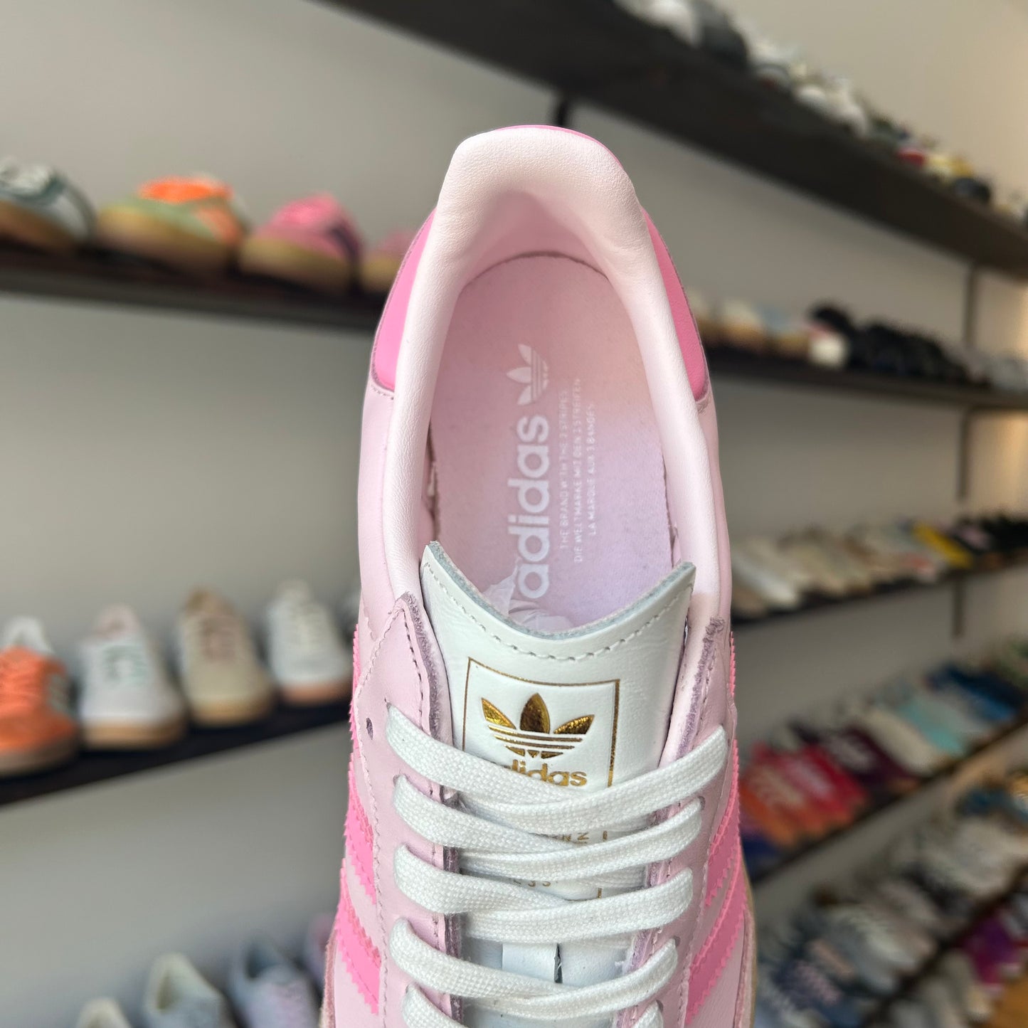 adidas Samba OG Neapolitan Pack Clear Pink (Women's)