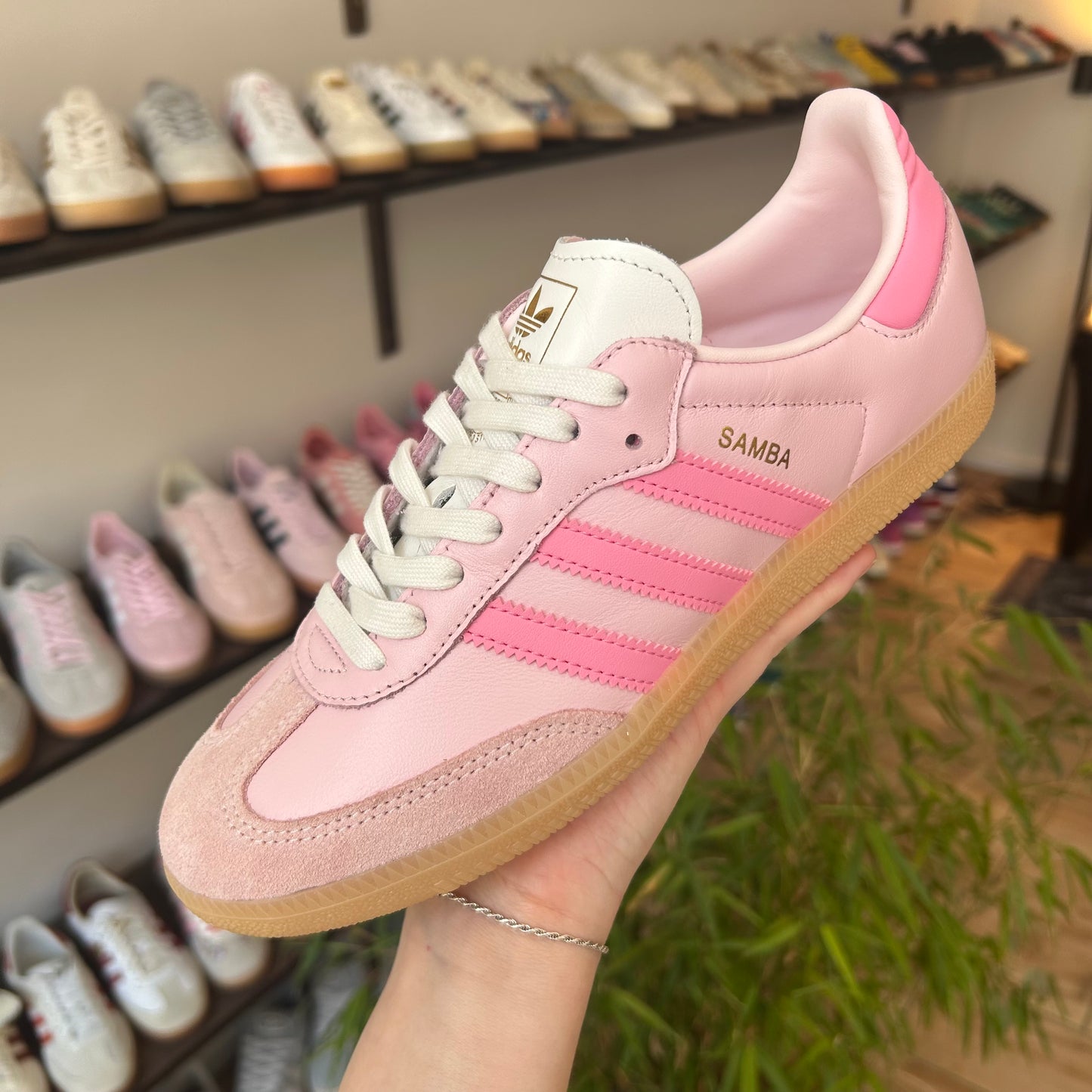 adidas Samba OG Neapolitan Pack Clear Pink (Women's)