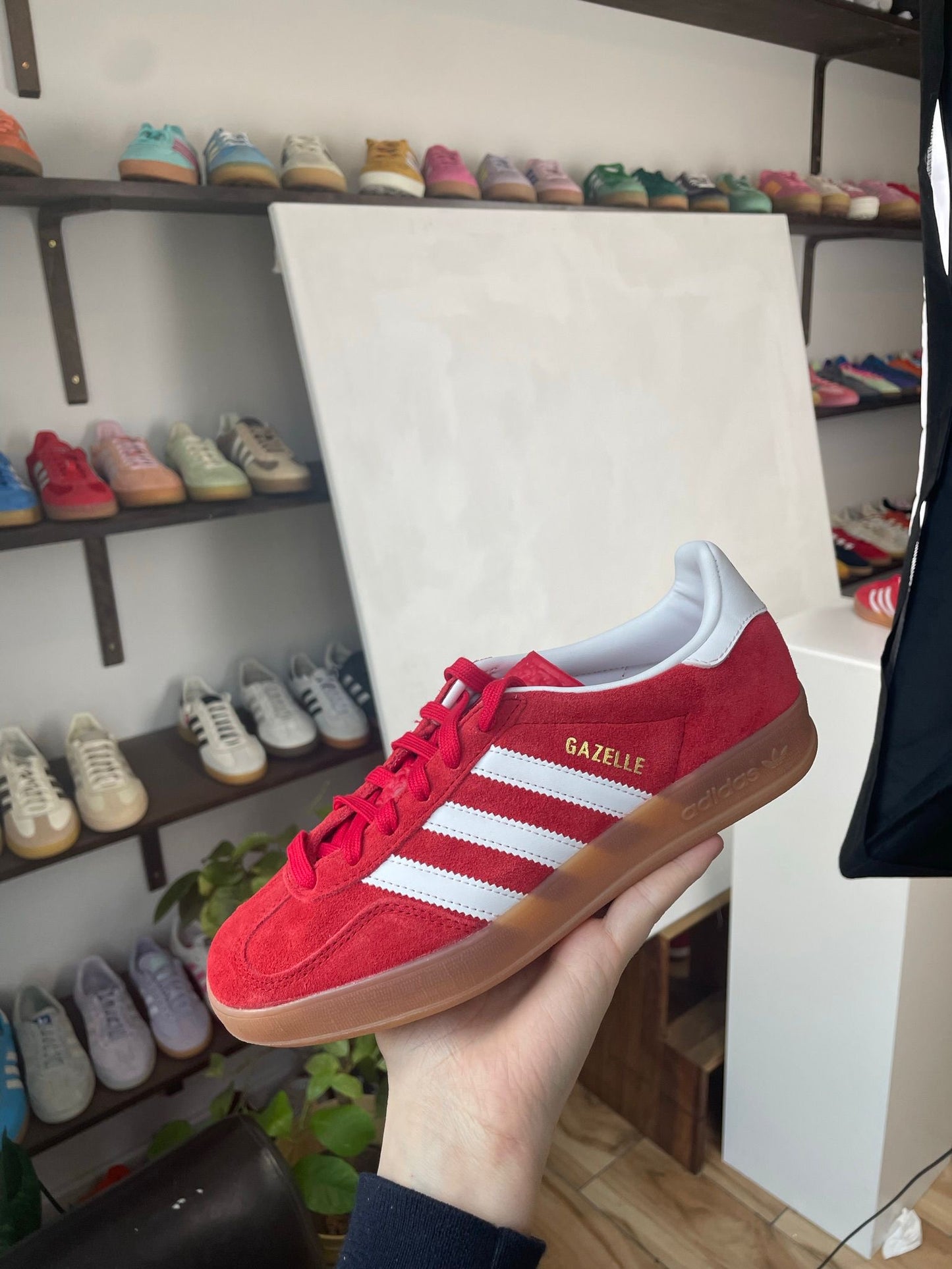 adidas Gazelle Red Archive