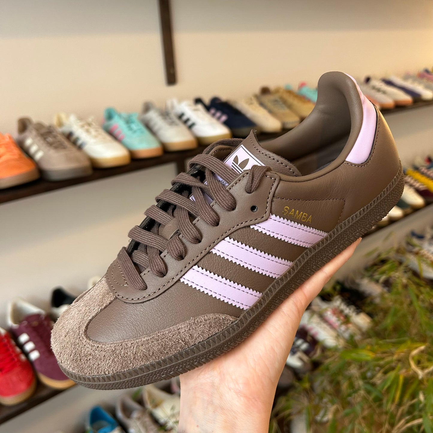 adidas Samba OG Earth Strata Purple Glow