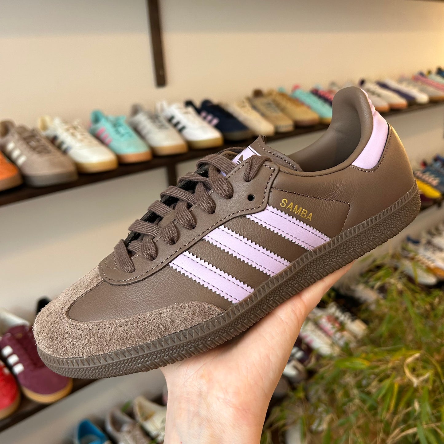 adidas Samba OG Earth Strata Purple Glow