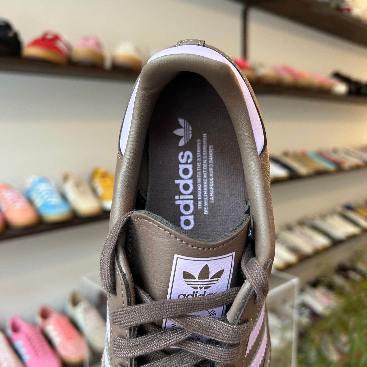 adidas Samba OG Earth Strata Purple Glow