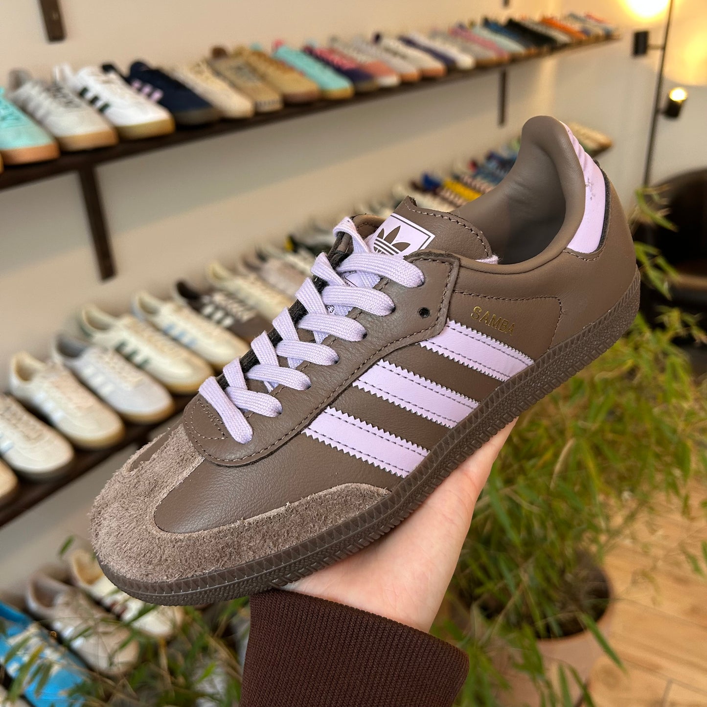 adidas Samba OG Earth Strata Purple Glow