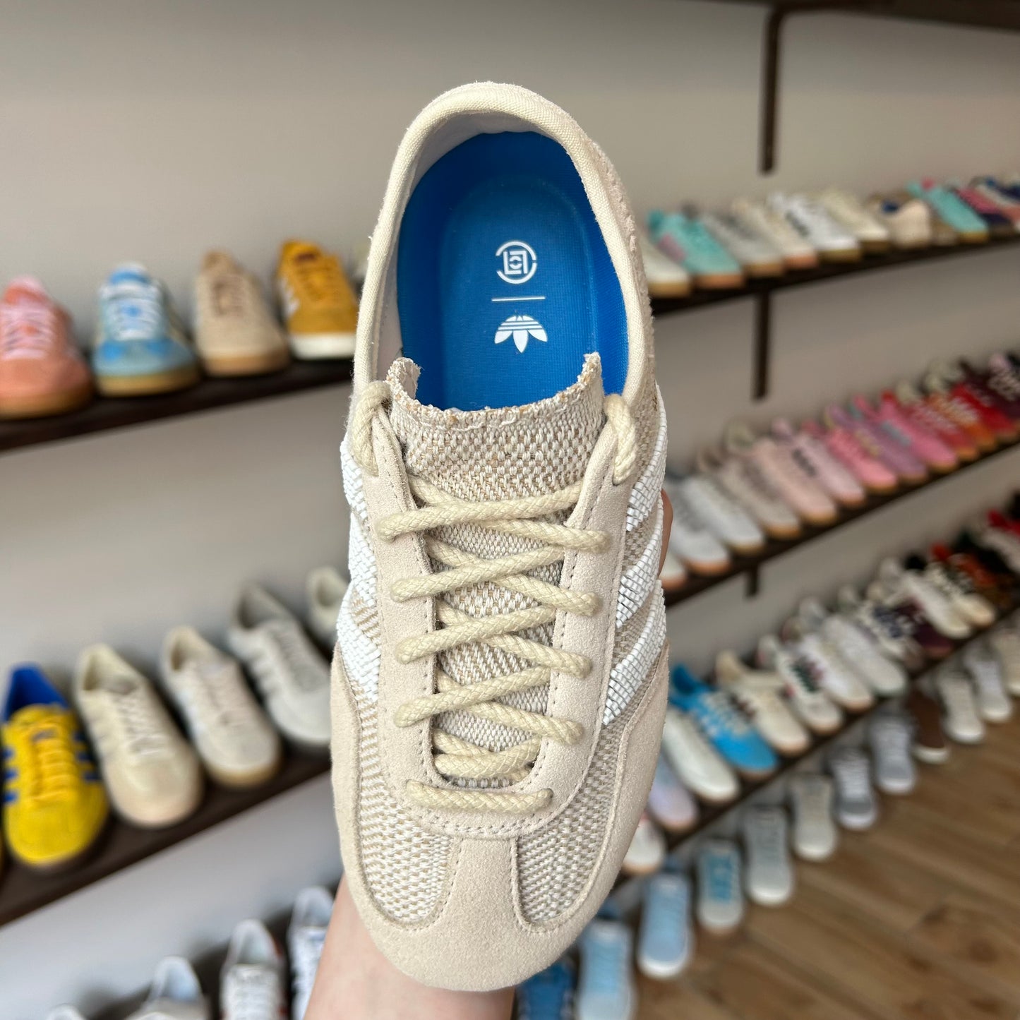 adidas Gazelle CLOT Halo Ivory